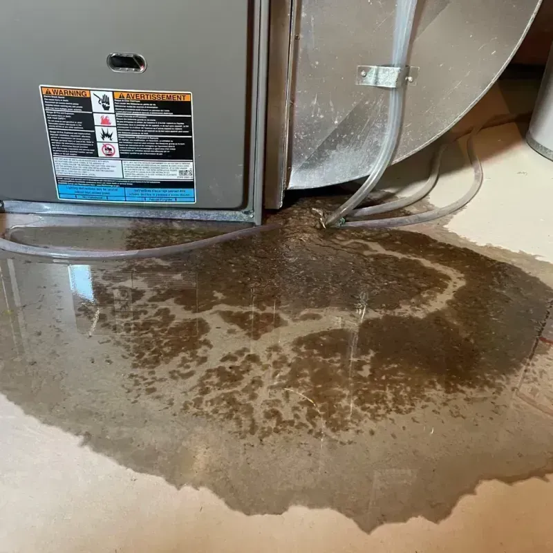 Appliance Leak Cleanup in Harrisburg, IL